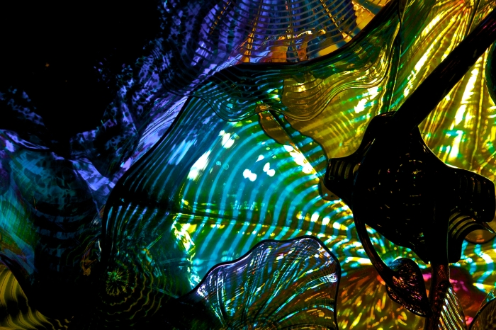 glass by Chihuly