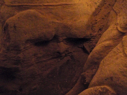 squishy face in a cave wall