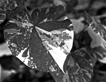 painterly leaves